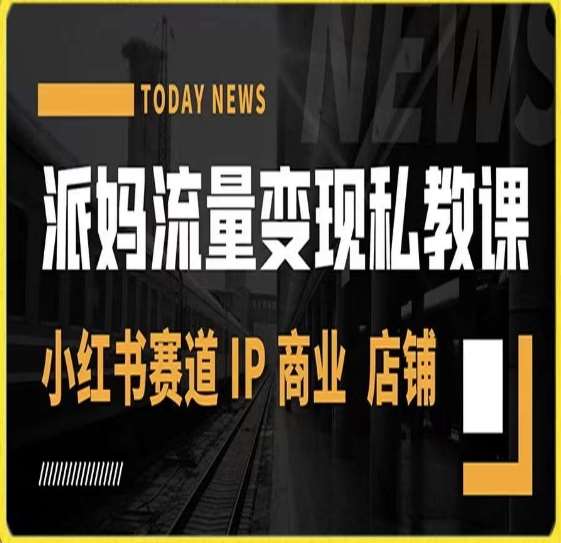 派妈流量变现私教课,小红书赛道IP 商业 店铺 网创吧-网创项目资源站-副业项目-创业项目-搞钱项目网创吧