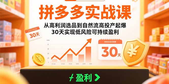 (15586期)拼多多实战课:从高利润选品到自然流高投产起爆 30天实现低风险可持续盈利网创吧-网创项目资源站-副业项目-创业项目-搞钱项目网创吧