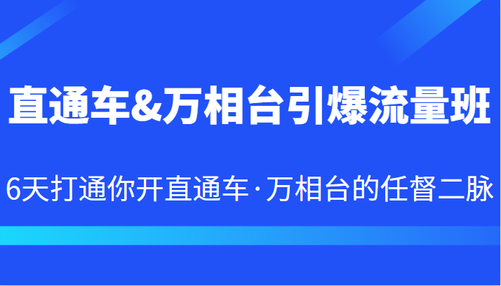 直通车&万相台引爆流量班 6天打通你开直通车·万相台的任督二脉网创吧-网创项目资源站-副业项目-创业项目-搞钱项目网创吧