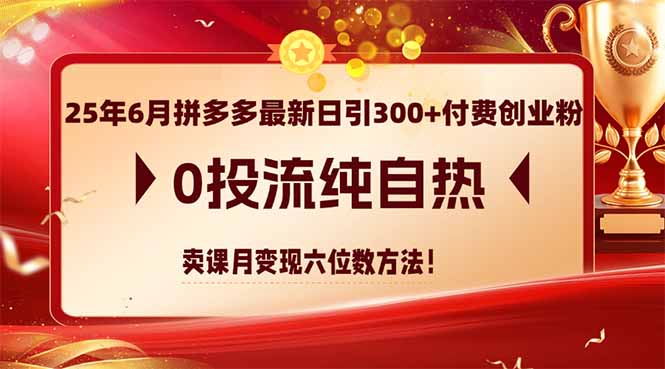 (14989期)25年6月拼多多最新日引300+付费创业粉,0投流纯自热 卖课月变现六位数方法网创吧-网创项目资源站-副业项目-创业项目-搞钱项目网创吧