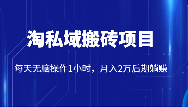 价值2980的淘私域搬砖项目,每天无脑操作1小时,月入2万后期躺赚网创吧-网创项目资源站-副业项目-创业项目-搞钱项目网创吧