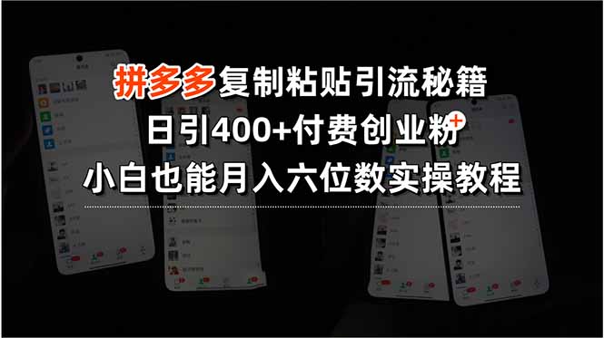 (15613期)拼多多复制粘贴引流秘籍,日引400+付费创业粉,小白也能月入六位数实操...网创吧-网创项目资源站-副业项目-创业项目-搞钱项目网创吧
