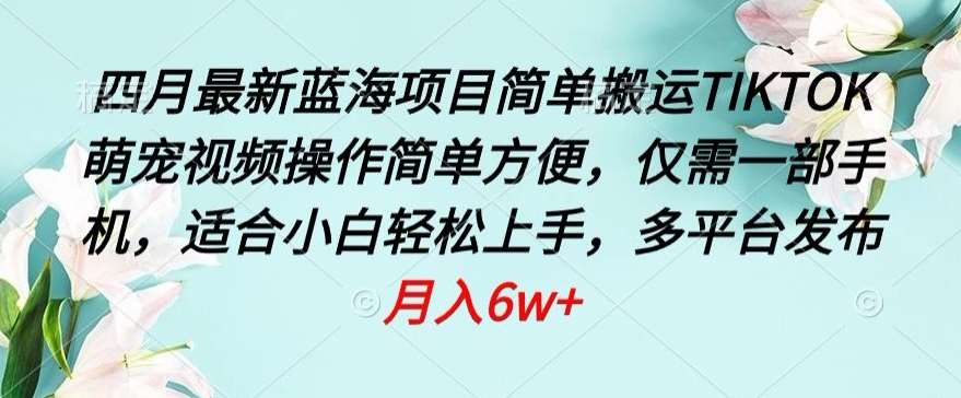 四月最新蓝海项目,简单搬运TIKTOK萌宠视频,操作简单方便,仅需一部手机【揭秘】网创吧-网创项目资源站-副业项目-创业项目-搞钱项目网创吧