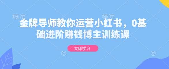 金牌导师教你运营小红书,0基础进阶赚钱博主训练课网创吧-网创项目资源站-副业项目-创业项目-搞钱项目网创吧