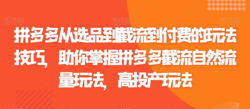 拼多多从选品到截流到付费的玩法技巧,助你掌握拼多多截流自然流量玩法,高投产玩法网创吧-网创项目资源站-副业项目-创业项目-搞钱项目网创吧