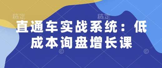 直通车实战系统:低成本询盘增长课,让个人通过技能实现升职加薪,让企业低成本获客,订单源源不断网创吧-网创项目资源站-副业项目-创业项目-搞钱项目网创吧