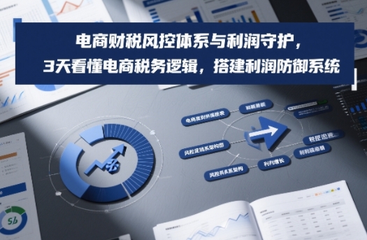 电商财税风控体系与利润守护,3天看懂电商税务逻辑,搭建利润防御系统网创吧-网创项目资源站-副业项目-创业项目-搞钱项目网创吧
