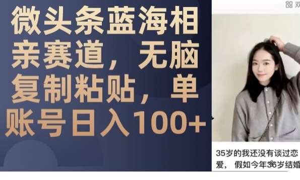 微头条蓝海相亲赛道，无脑复制粘贴，单账号日入100+网创吧-网创项目资源站-副业项目-创业项目-搞钱项目网创吧