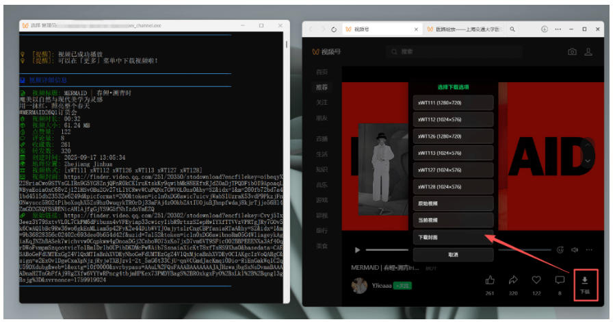 Github热门工具,视频号下载神器又来了!一键注入下载按钮,轻松下载,使用便捷wx_channel网创吧-网创项目资源站-副业项目-创业项目-搞钱项目网创吧