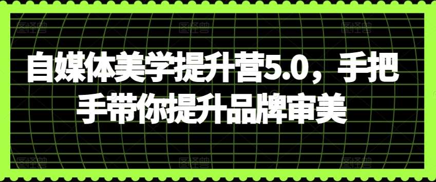 自媒体美学提升营5.0，手把手带你提升品牌审美网创吧-网创项目资源站-副业项目-创业项目-搞钱项目网创吧