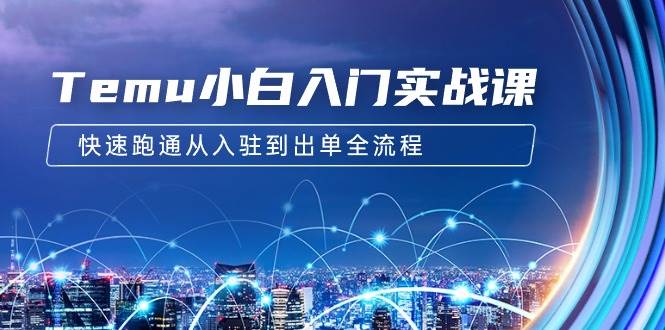 (9295期)Temu小白入门实战课:跨境拼多多电商培训 快速跑通从入驻到出单全流程-12节网创吧-网创项目资源站-副业项目-创业项目-搞钱项目网创吧
