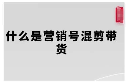 营销号混剪带货,从内容创作到流量变现的全流程,教你用营销号形式做混剪带货网创吧-网创项目资源站-副业项目-创业项目-搞钱项目网创吧