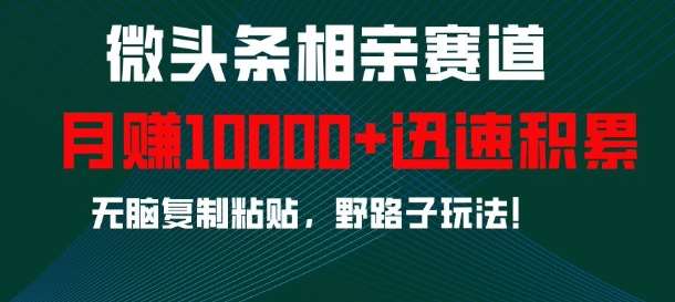 微头条相亲赛道,迅速积累,无脑复制粘贴,野路子玩法,月入1w网创吧-网创项目资源站-副业项目-创业项目-搞钱项目网创吧