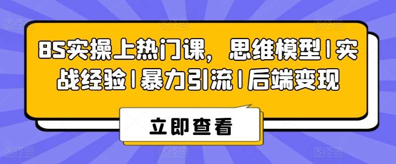 8S实操上热门课,思维模型|实战经验|暴力引流|后端变现网创吧-网创项目资源站-副业项目-创业项目-搞钱项目网创吧