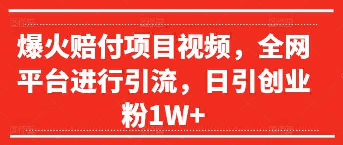 爆火赔付项目视频，全网平台进行引流，日引创业粉1W+【揭秘】网创吧-网创项目资源站-副业项目-创业项目-搞钱项目网创吧