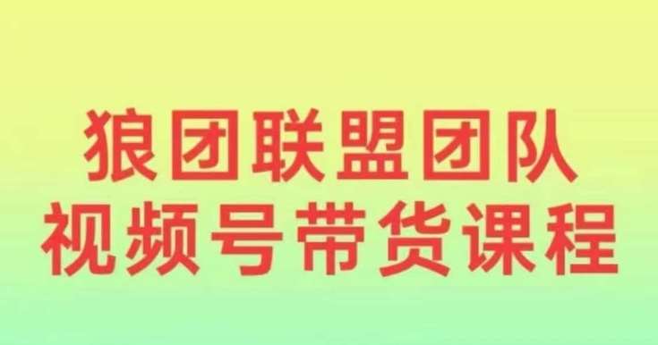 狼团联盟2024视频号带货,0基础小白快速入局视频号网创吧-网创项目资源站-副业项目-创业项目-搞钱项目网创吧