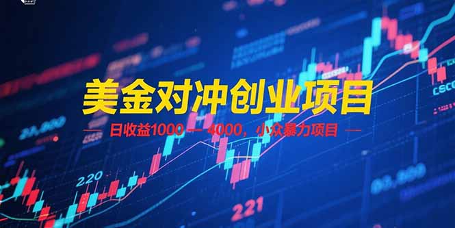 (15187期)美金对冲创业项目,日收益 1000 - 4000,小众暴力项目网创吧-网创项目资源站-副业项目-创业项目-搞钱项目网创吧