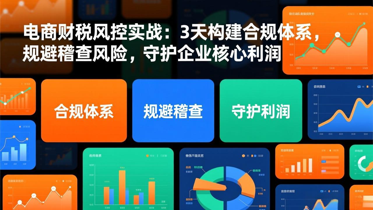 (17197期)电商财税风控实战:3天构建合规体系,规避稽查风险,守护企业核心利润网创吧-网创项目资源站-副业项目-创业项目-搞钱项目网创吧