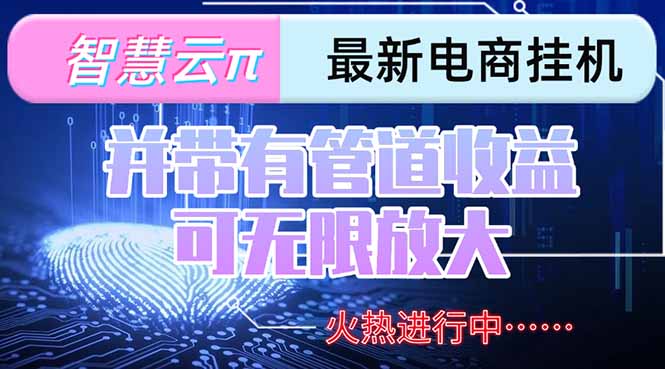 (15314期)智慧云π电脑挂机单机每天收益300—500+ 并带有团队管道收益 可无限放大网创吧-网创项目资源站-副业项目-创业项目-搞钱项目网创吧