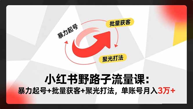 (16513期)小红书野路子流量课:暴力起号+批量获客+聚光打法,单账号月入3万+网创吧-网创项目资源站-副业项目-创业项目-搞钱项目网创吧