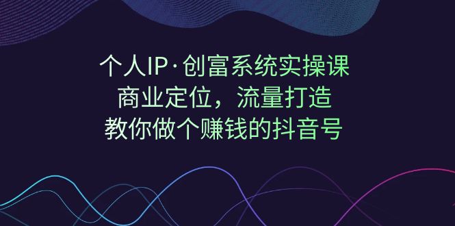 个人IP·创富系统实操课:商业定位,流量打造,教你做个赚钱的抖音号网创吧-网创项目资源站-副业项目-创业项目-搞钱项目网创吧