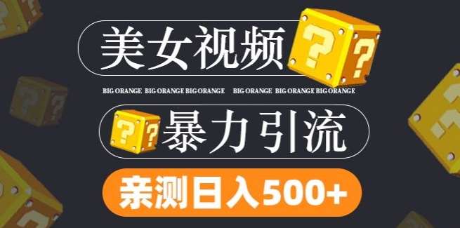 搬运tk美女视频全网分发，日引s粉300+，轻松变现，不限流量不封号【揭秘】网创吧-网创项目资源站-副业项目-创业项目-搞钱项目网创吧