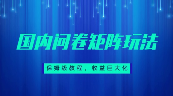保姆级教程,国内问卷矩阵玩法,轻松赚收益网创吧-网创项目资源站-副业项目-创业项目-搞钱项目网创吧