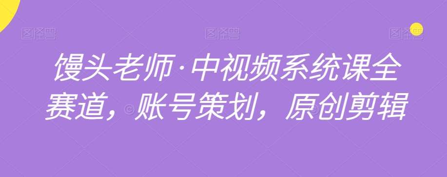 馒头老师·中视频系统课全赛道,账号策划,原创剪辑网创吧-网创项目资源站-副业项目-创业项目-搞钱项目网创吧