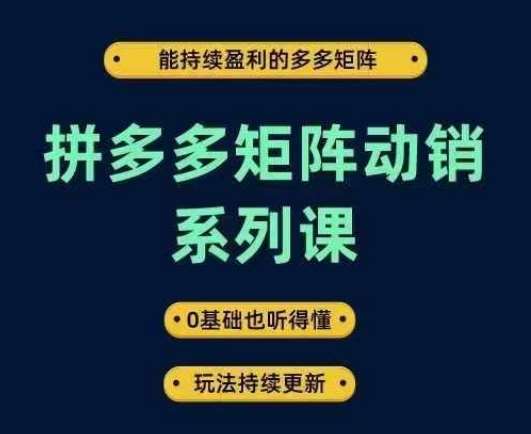 拼多多矩阵动销系列课,能持续盈利的多多矩阵,0基础也听得懂,玩法持续更新网创吧-网创项目资源站-副业项目-创业项目-搞钱项目网创吧