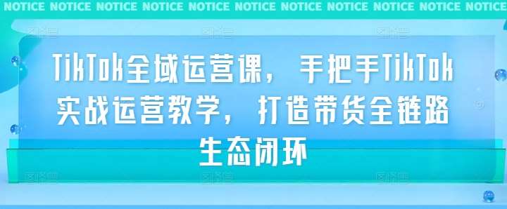 TikTok全域运营课,手把手TikTok实战运营教学,打造带货全链路生态闭环网创吧-网创项目资源站-副业项目-创业项目-搞钱项目网创吧