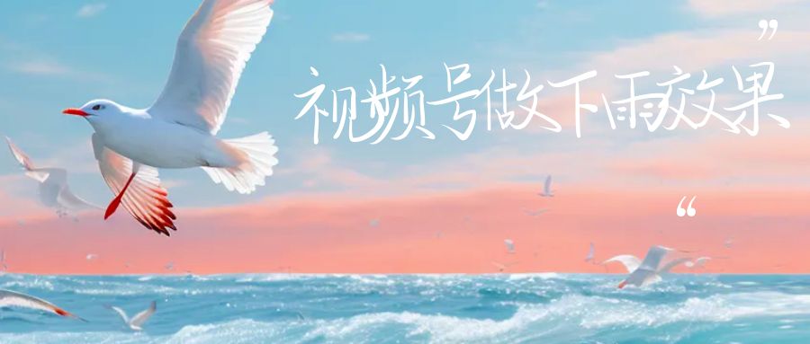 视频号做下雨视频,一个账号一周涨粉10W+,日入1000+附保姆级教程网创吧-网创项目资源站-副业项目-创业项目-搞钱项目网创吧