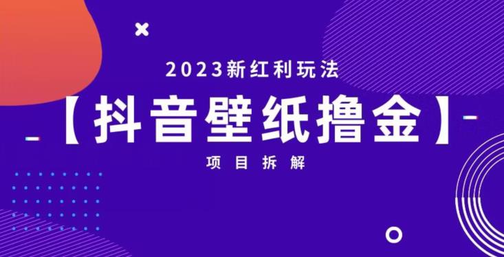 抖音壁纸小程序创作者撸金项目，2023新红利玩法【项目拆解】网创吧-网创项目资源站-副业项目-创业项目-搞钱项目网创吧