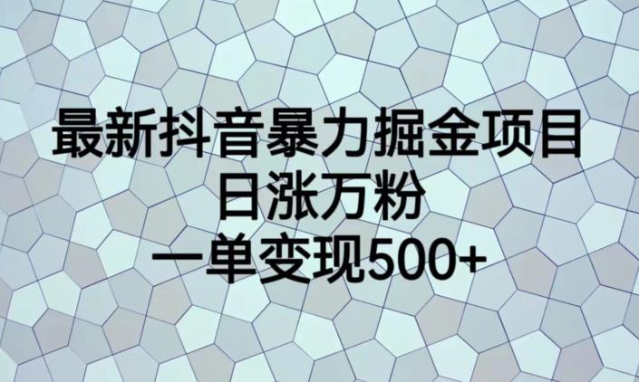 最新抖音暴力掘金项目,日涨万粉,一单变现500+【揭秘】网创吧-网创项目资源站-副业项目-创业项目-搞钱项目网创吧