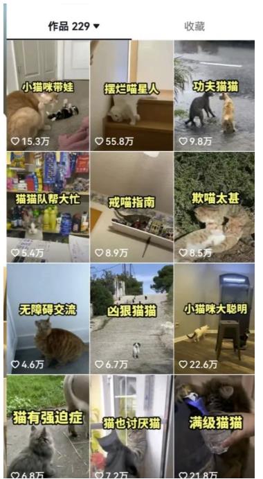 拆解抖音盘点类中视频变现副业项目,视频版一条龙大解析分享给你【视频课程】网创吧-网创项目资源站-副业项目-创业项目-搞钱项目网创吧