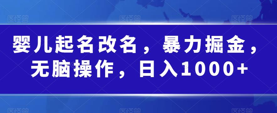 婴儿起名改名,暴力掘金,无脑操作,日入1000+【揭秘】网创吧-网创项目资源站-副业项目-创业项目-搞钱项目网创吧