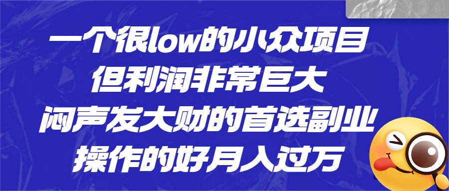 一个很low的小众项目,但利润非常巨大,闷声发大财的首选副业,操作的好月入过万网创吧-网创项目资源站-副业项目-创业项目-搞钱项目网创吧
