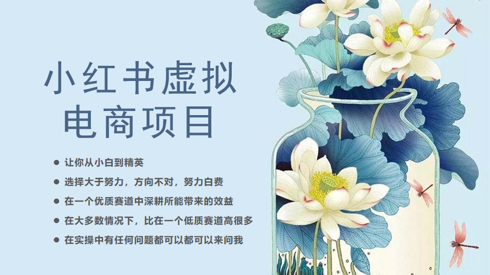 小红书虚拟电商从0到1小白到精英(20节实操课程)网创吧-网创项目资源站-副业项目-创业项目-搞钱项目网创吧