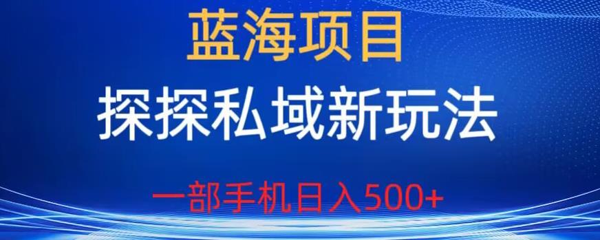 蓝海项目,探探私域新玩法,一部手机日入500+很轻松【揭秘】网创吧-网创项目资源站-副业项目-创业项目-搞钱项目网创吧