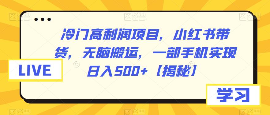 冷门高利润项目,小红书带货,无脑搬运,一部手机实现日入500+【揭秘】网创吧-网创项目资源站-副业项目-创业项目-搞钱项目网创吧