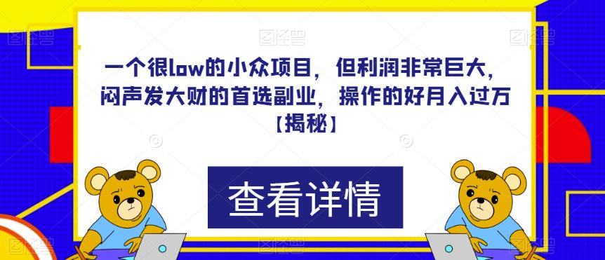 一个很low的小众项目,但利润非常巨大,闷声发大财的首选副业,操作的好月入过万【揭秘】网创吧-网创项目资源站-副业项目-创业项目-搞钱项目网创吧