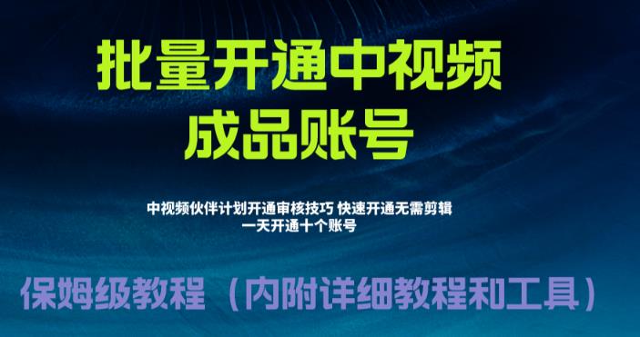 外面收费1980的暴力开通中视频计划教程,内附详细的快速通过中视频伙伴计划的办法网创吧-网创项目资源站-副业项目-创业项目-搞钱项目网创吧