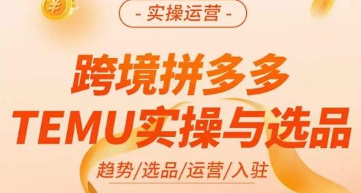 伍跃·跨境拼多多TEMU实操与选品,趋势/选品/运营/入住(27节完整)网创吧-网创项目资源站-副业项目-创业项目-搞钱项目网创吧