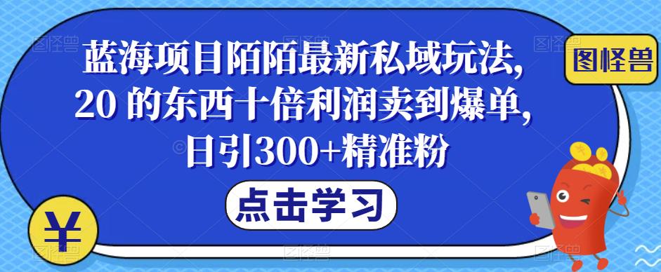 蓝海项目陌陌最新私域玩法,20 的东西十倍利润卖到爆单,日引300+精准粉【揭秘】网创吧-网创项目资源站-副业项目-创业项目-搞钱项目网创吧
