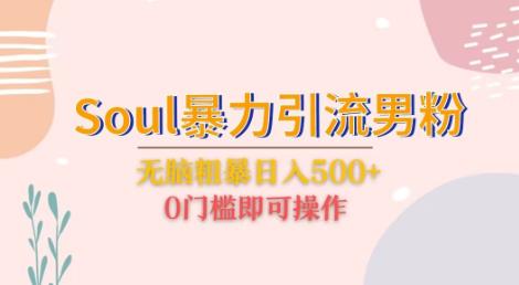 Soul暴力引流男粉玩法,无脑粗暴日入500+,0门槛即可操作【揭秘】网创吧-网创项目资源站-副业项目-创业项目-搞钱项目网创吧