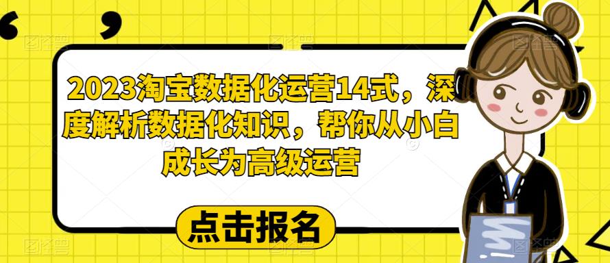 2023淘宝数据化运营14式,深度解析数据化知识,帮你从小白成长为高级运营网创吧-网创项目资源站-副业项目-创业项目-搞钱项目网创吧