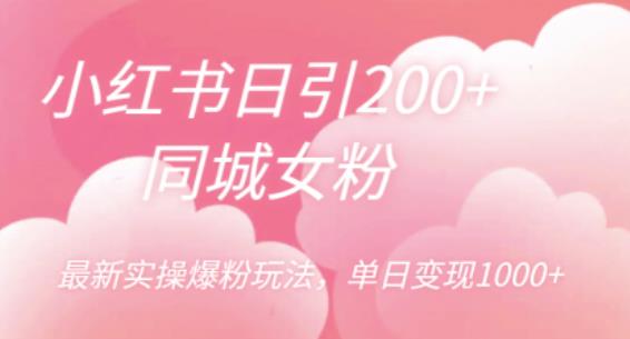 小红书日引200+同城女粉,最新实操爆粉玩法,单日变现1000+【揭秘】网创吧-网创项目资源站-副业项目-创业项目-搞钱项目网创吧