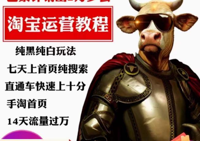 猫老师·淘系算法逆向解密,纯黑纯白玩法,七天上首页纯搜索,手淘首页14天流量过万网创吧-网创项目资源站-副业项目-创业项目-搞钱项目网创吧
