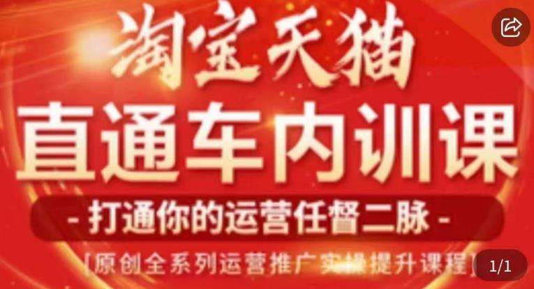 天问电商·2023淘宝天猫直通车内训课,零基础学起直通车运营实操课程网创吧-网创项目资源站-副业项目-创业项目-搞钱项目网创吧