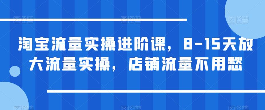 淘宝流量实操进阶课,8-15天放大流量实操,店铺流量不用愁网创吧-网创项目资源站-副业项目-创业项目-搞钱项目网创吧