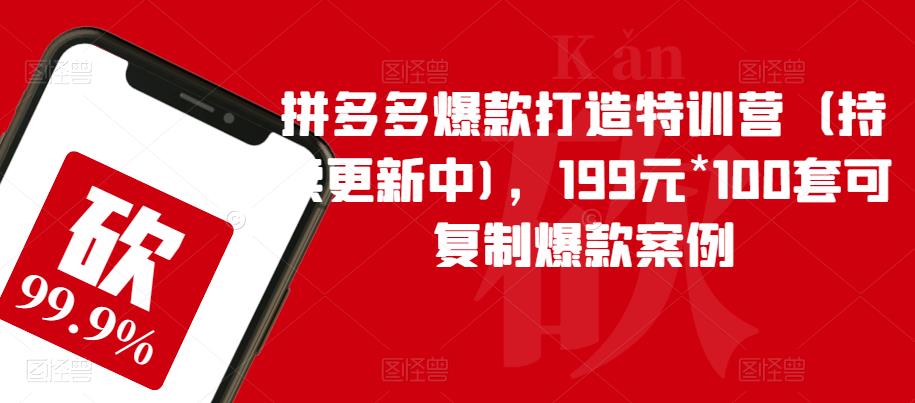 拼多多爆款打造特训营(持续更新中),199元*100套可复制爆款案例网创吧-网创项目资源站-副业项目-创业项目-搞钱项目网创吧